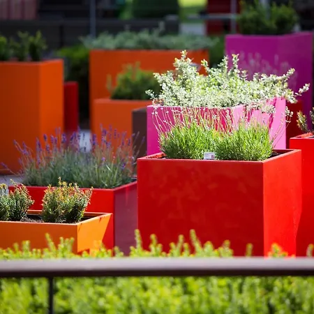 & Restaurant Am מלון אולם